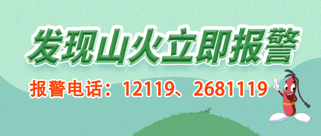 业余篮球队比赛前训练计划怎么写_0